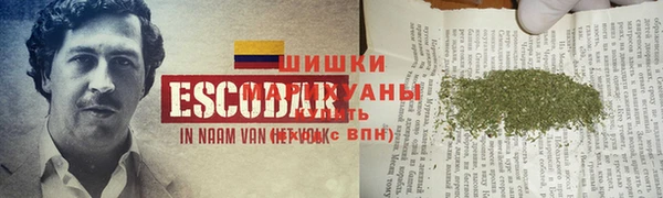 гидропоника Верея