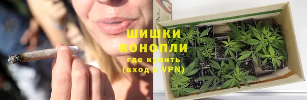 гидра Верхний Тагил