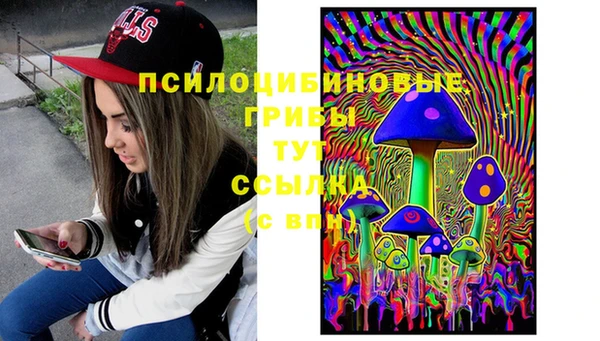 гидра Верхний Тагил