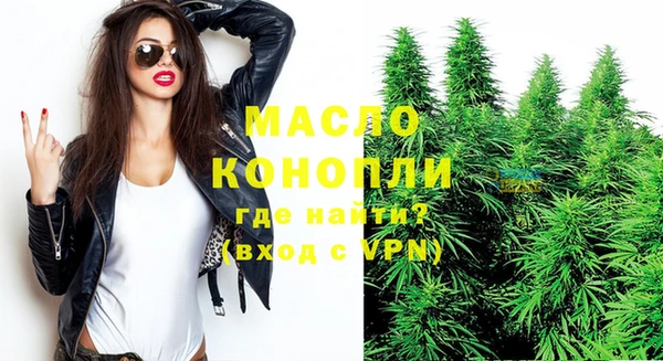 гидра Верхний Тагил
